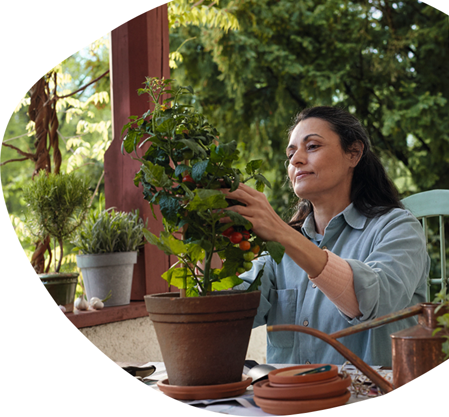 A person sitting at a table with a potted plant